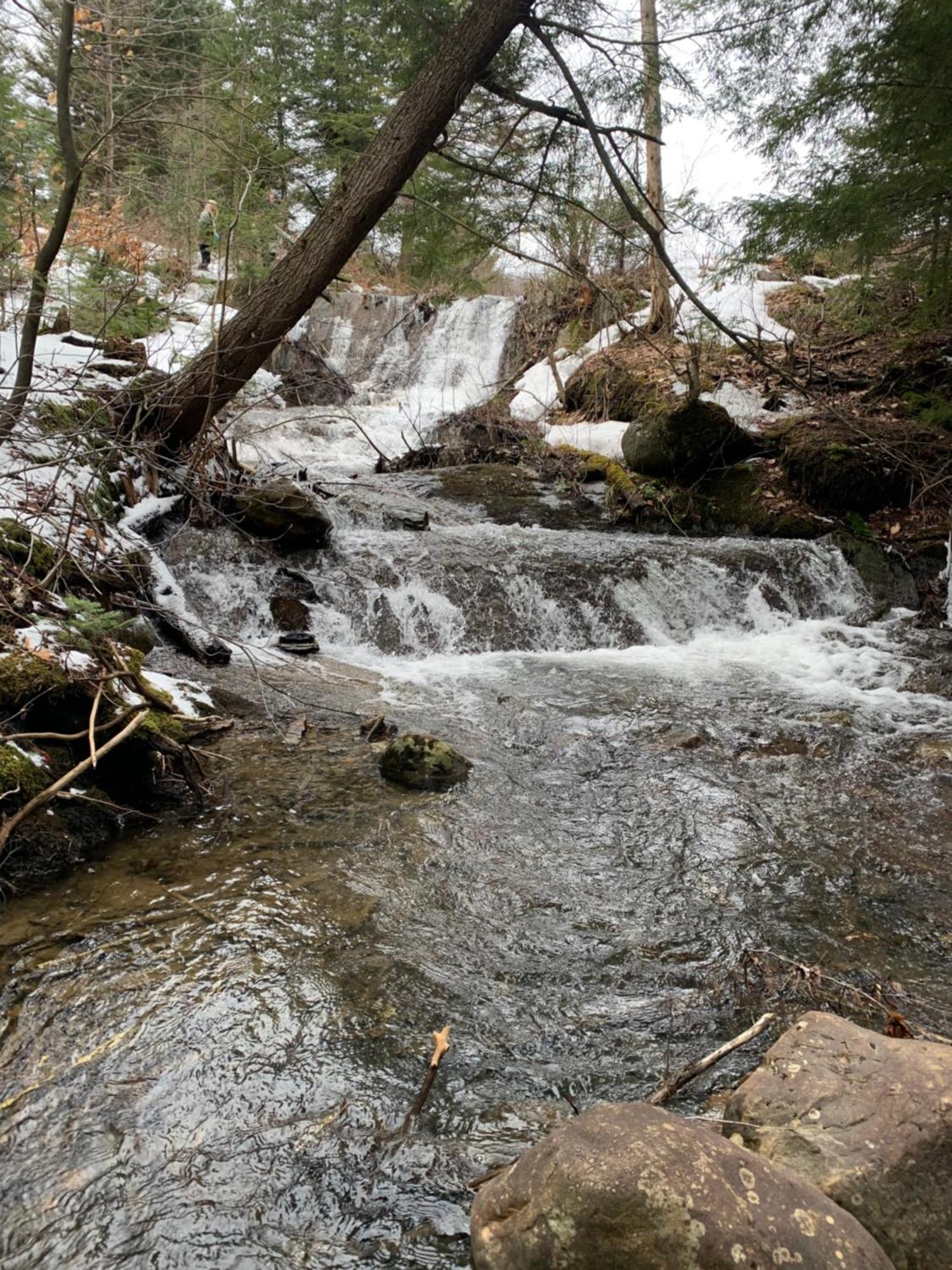 Paradis Sauvage Geronimo Saint-Etienne-de-Bolton Exterior foto
